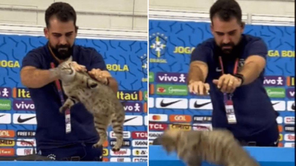 Brazilia, fără milă și cu pisica: Moment bizar la conferința din Qatar VIDEO