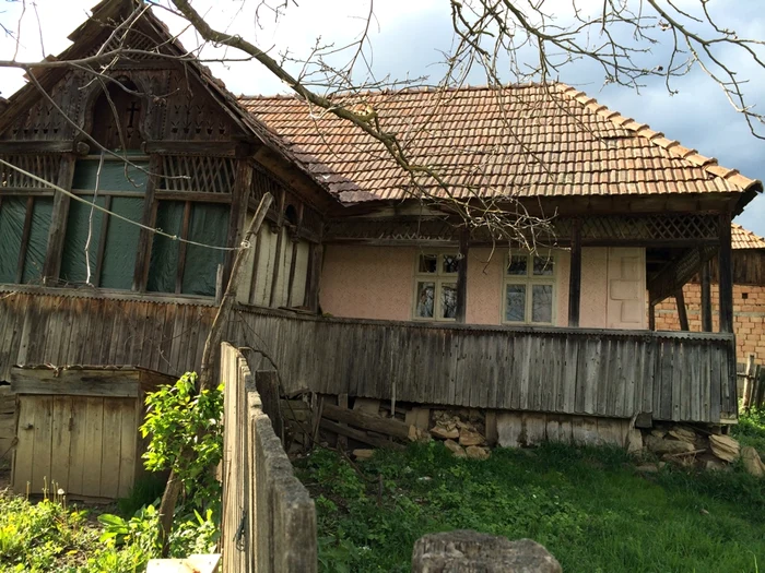 Laura Cosoi (foto: facebook)