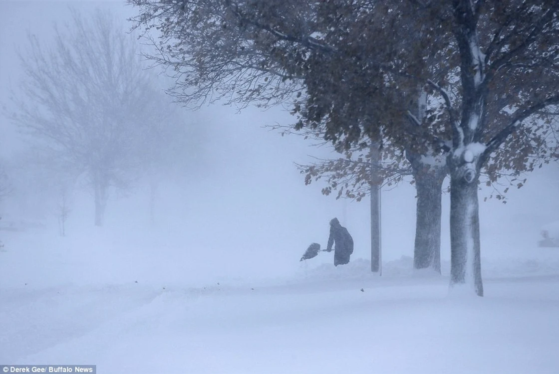 Ninsorile au făcut în total 17 victimefoto: Buffalo News (Daily Mail)