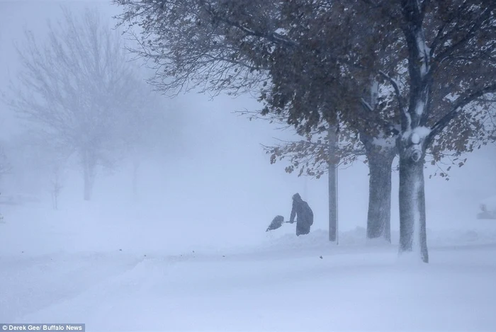 
    Ninsorile au făcut în total 17 victimefoto: Buffalo News (Daily Mail)  