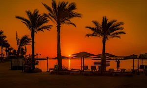 sunset 8627419 1280 jpg