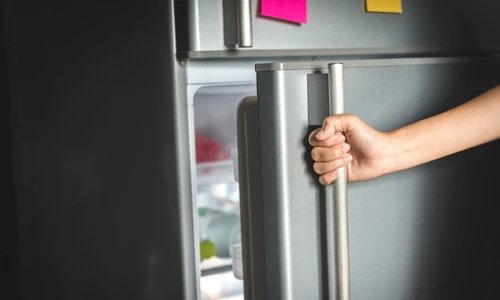 shutterstock 783018967 jpg