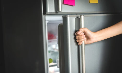 shutterstock 783018967 jpg