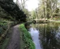Parcul dendrologic Simeria Foto Daniel Guță ADEVĂRUL (42) JPG