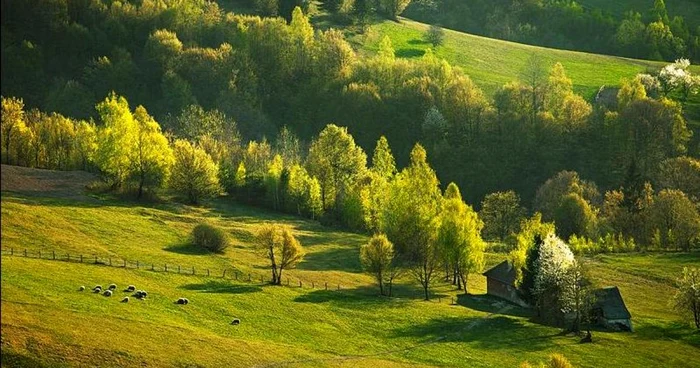 Un sat din judeţul Braşov  FOTO: Adrian Petrişor