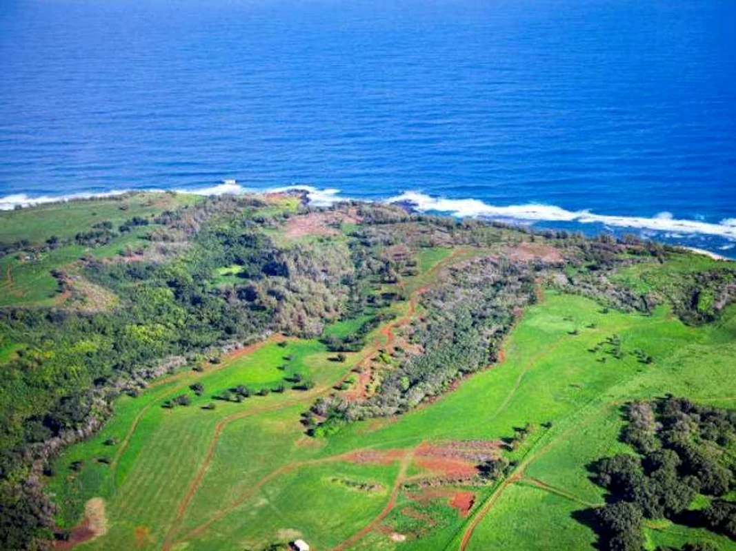 zuckerberg hawaii foto