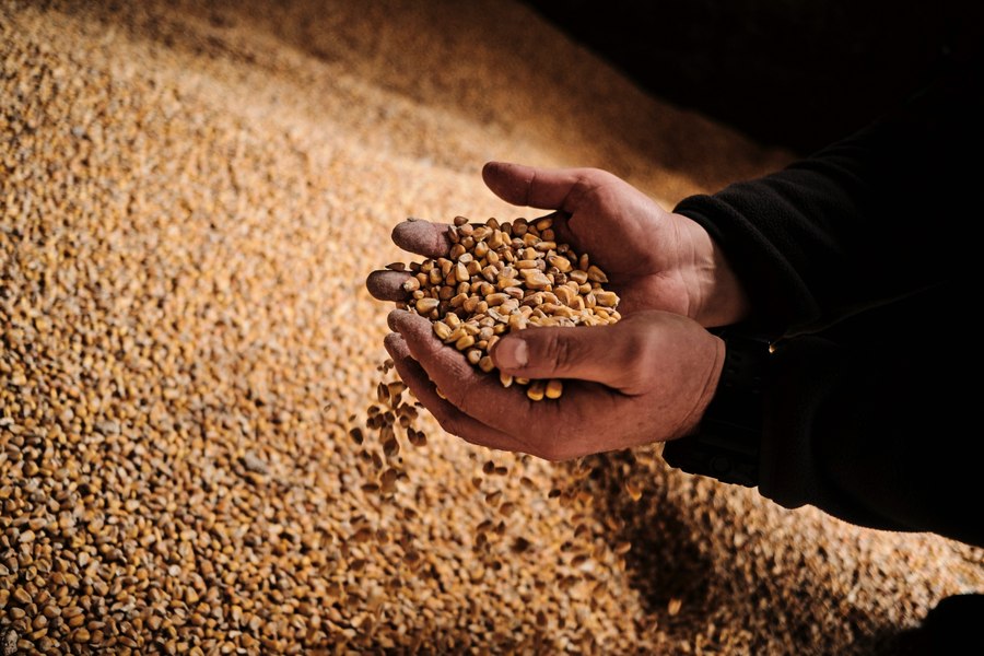 Cine, ce și cu ce mandat negociază la Bruxelles în favoarea agriculturii și fermierilor din România?