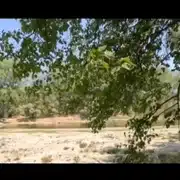 insula croatia gif gif