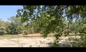 insula croatia gif gif