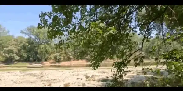 insula croatia gif gif