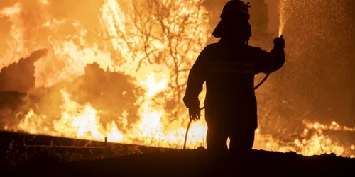 Incendii Grecia  august 2021 FOTO Profimedia