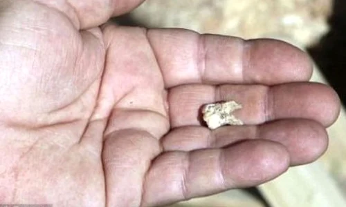 Descoperirea unor rămăşiţe umane forţează cercetătorii să reexamineze teoria evoluţiei omului jpeg