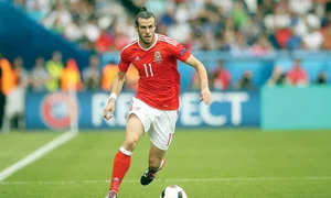 18 sport bale jpeg