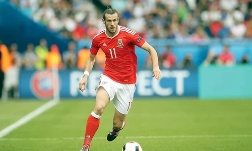 18 sport bale jpeg