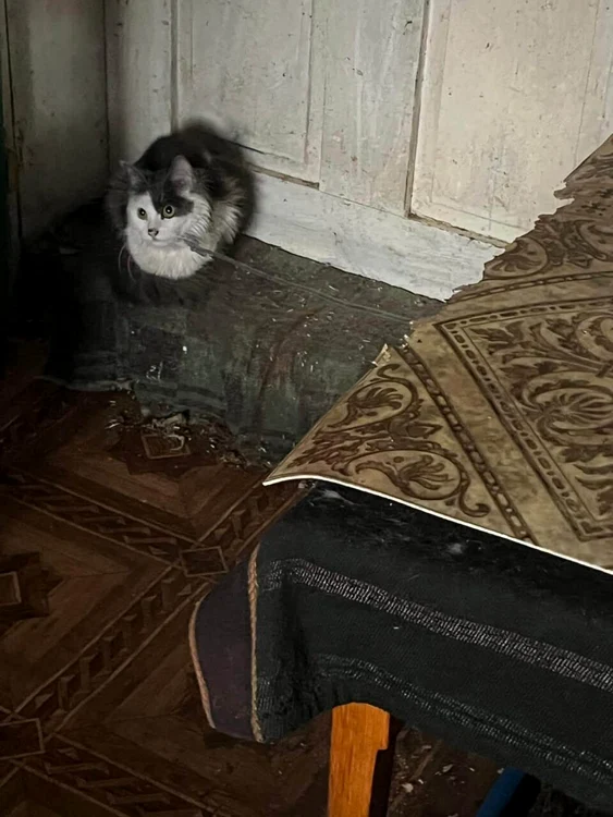 FOTO: Monitorul de Suceava