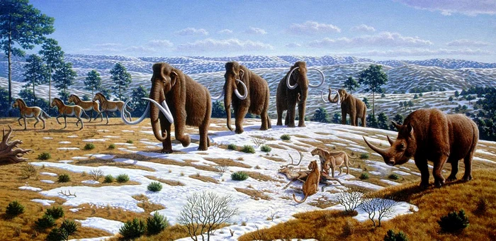 pleistocene spain mammoth jpg jpeg