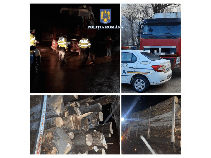 Jaf în pădurile Moldovei. Camion încărcat cu lemn, confiscat în Neamţ. Ce se întâmplă cu cheresteaua