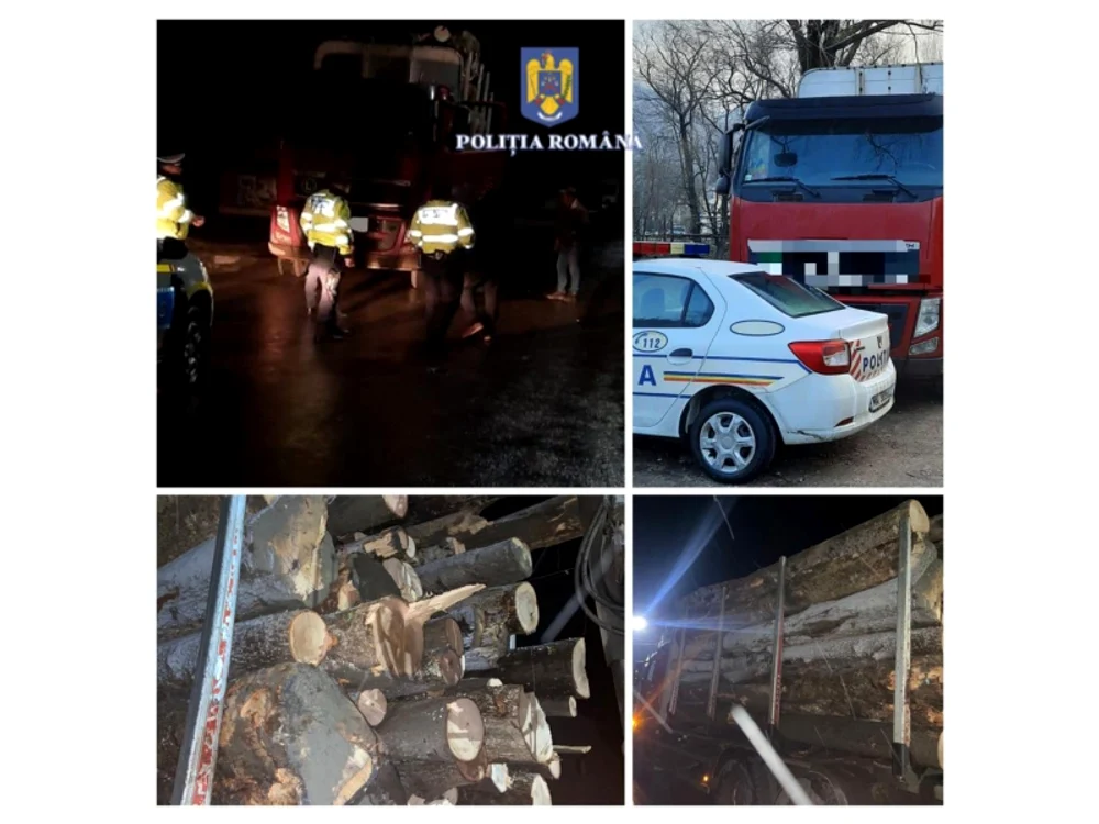 Camionul cu lemne fără acte de proveniență a fost confiscat FOTO Poliția Neamț