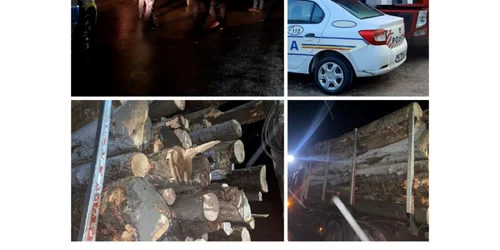 politialemnenoiembrie politia neamt jpeg