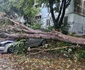 Urmările furtunii din București FOTO Facebook / Meteoplus
