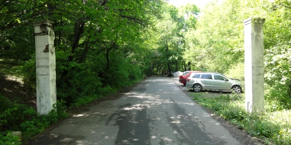 padurea strehareti