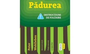 Maraton de poezie, Noapte Albă în District 40, Pădurea Instrucţiuni de folosire jpeg