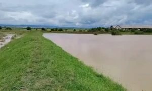 AQP31E4js91pp6 ZE3lpSkt2ZZb9uZclUKxa4QcoZj6QCCVxIXEKx skjYaNjm92VgJkNuT71KseXRC5KTg F3Vi mp4 thumbnail png