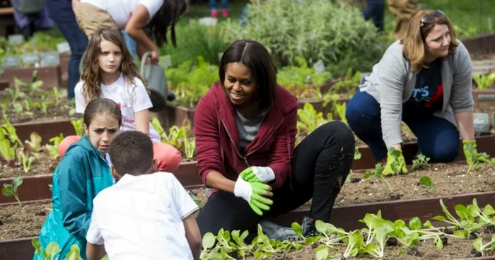 Michelle Obama gradinarit in 2015 FOTO AFP