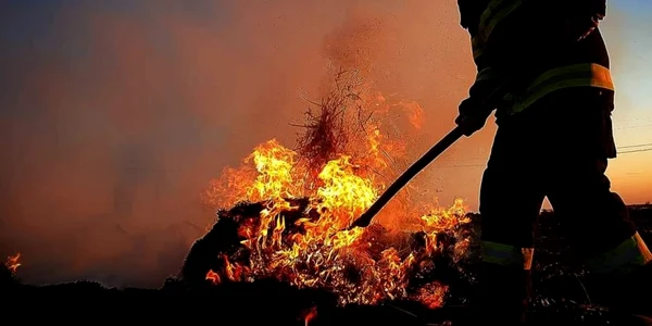 calarasi incendiu vegetatie FOTO ISU Călăraşi