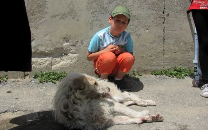 Căţeluşa „Albuţa” este foarte iubită de copii şi locuitorii de pe Teiului