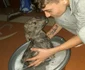 Costi Ţitiriga activistul în protecţia animalelor din Râmnicu Vâlcea şi unul dintre zecile de câini salvaţi de el Foto FB Costi Ţitiriga