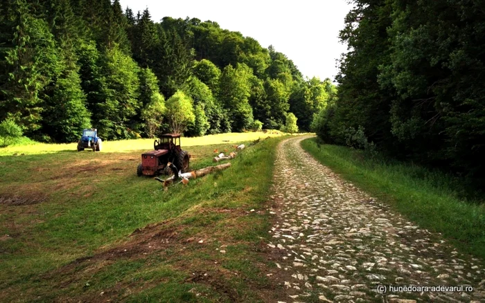 drumul de marmura din satul alun foto daniel guta adevarul