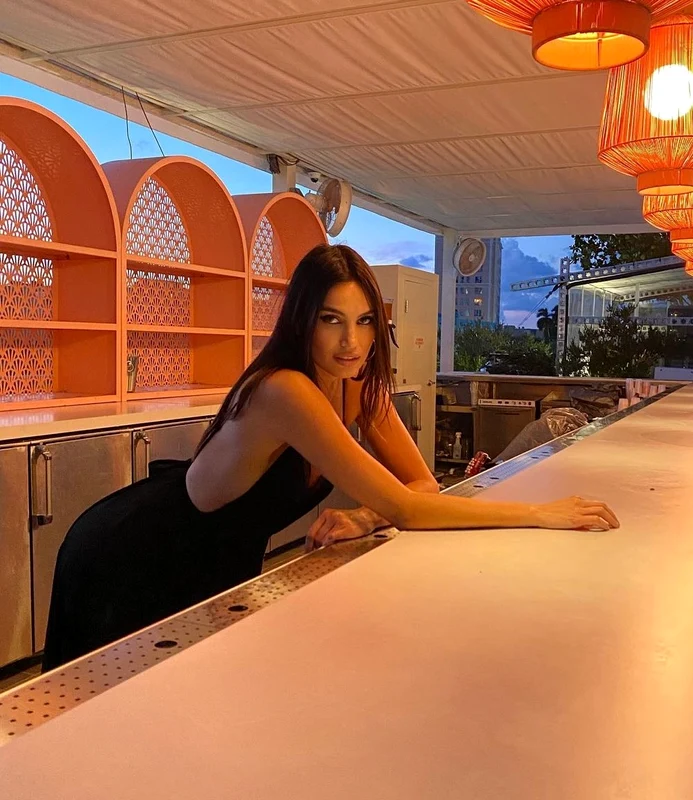Alina Pușcău este model de talie internațională și cunoscută pentru relațiile sale de iubire cu celebrul actor Vin Diesel și cu regizorul Brett Ratner