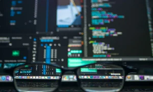 Hacker român prins la Sinaia 