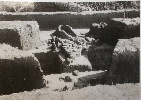 Imagini din timpul cercetărilor (© Arhivele Naționale ale Romaniei)