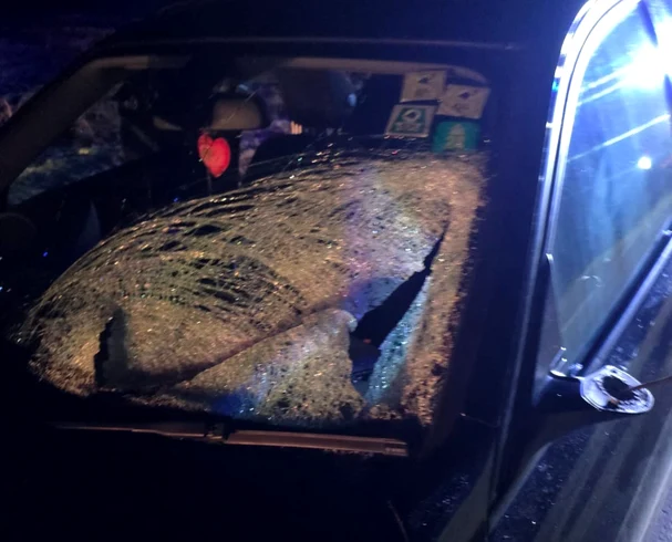 Impactul a fost violent. FOTO IPJ Dolj
