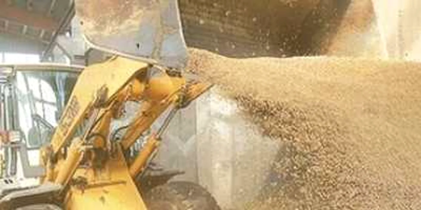 Ministerul Agriculturii a primit 270 de cereri de depozite pentru seminţe