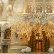 599945052 1305360764968594 1878327219562274430 n jpg