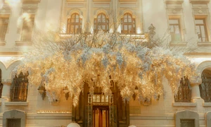 599945052 1305360764968594 1878327219562274430 n jpg