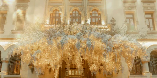 599945052 1305360764968594 1878327219562274430 n jpg