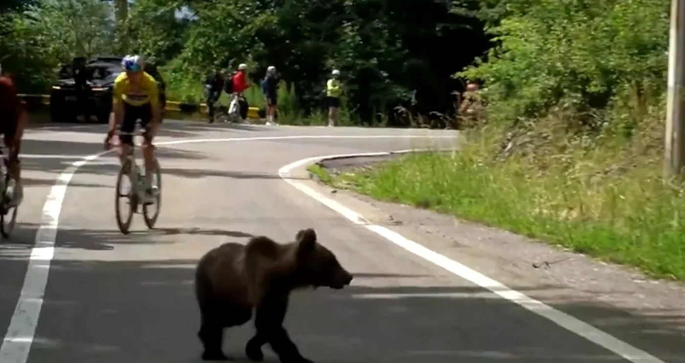 Imaginile au devenit virale pe internet / foto: captură video