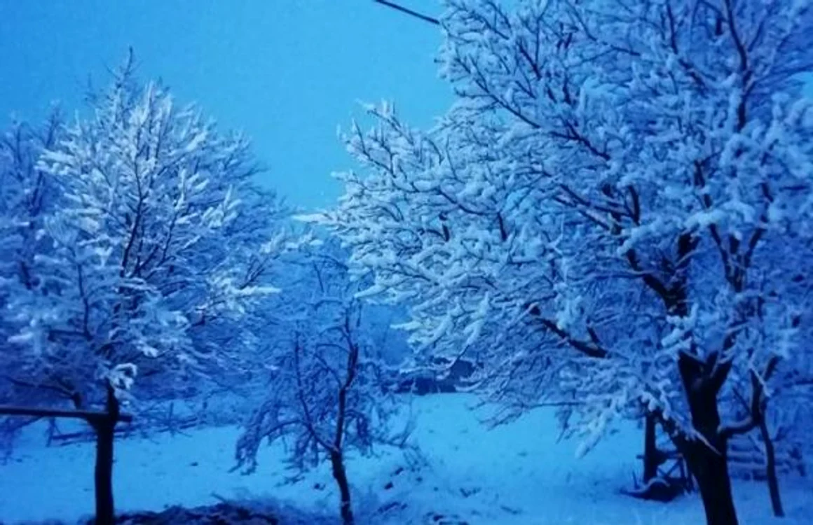 Peisaj de la Vintileasca FOTO Fănel Crucean