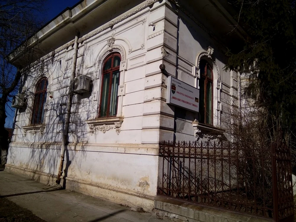 biblioteca din zimnicea foto florina pop