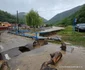 Satele de pe valea Govajdiei si Furnalul din Govajdia, dupa inundatii Foto Daniel Guță (24) jpg