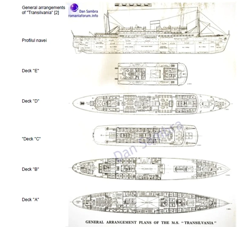 t16 jpg jpeg