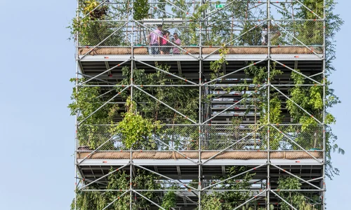 Turnul-pepiniera Timișoara FOTO Laurian Ghinitoiu/miesarch.com