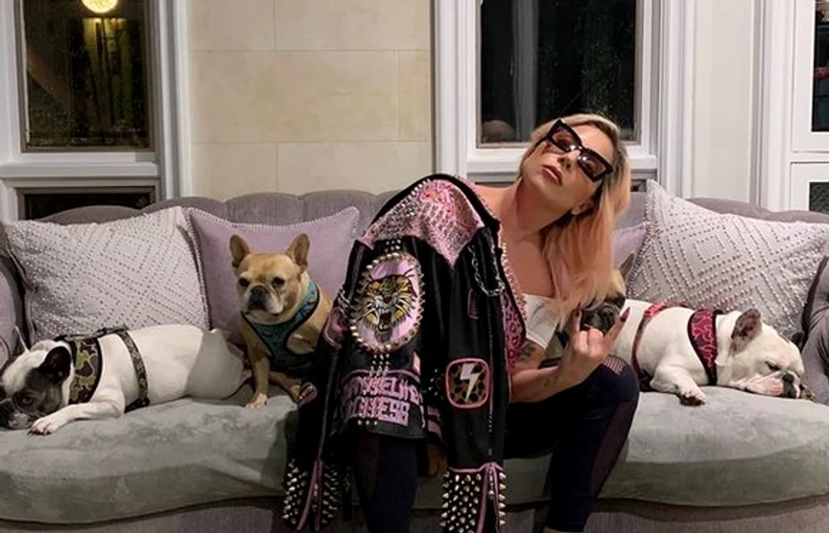 
    Câinii artistei Lady Gaga au fost recuperațiFoto Arhivă personală  