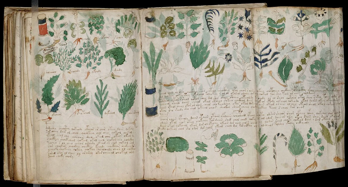 Pagini din misteriosul manuscris Voynich