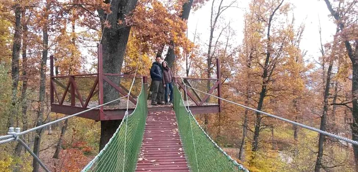 Cei doi americani au vizitat rezervaţia în luna de miere. FOTOAsociaţia Milioane de Prieteni.