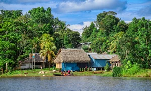 trib, foto Shutterstock jpg